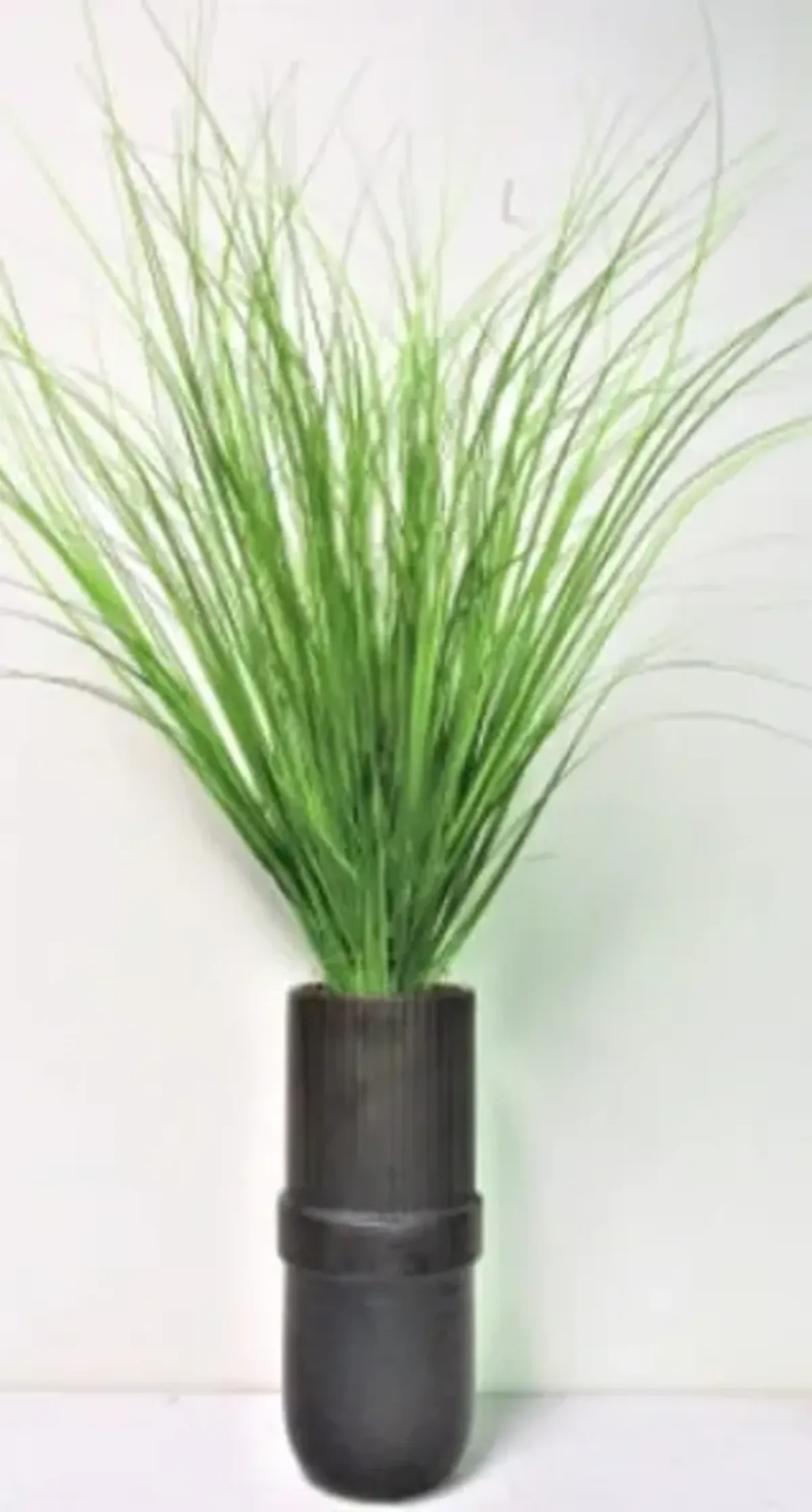 Grass In Banded Ceramic Vase 28"H