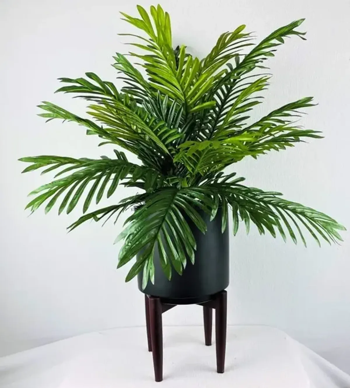 Palm in Black Ceramic Pot with Stand 32"H