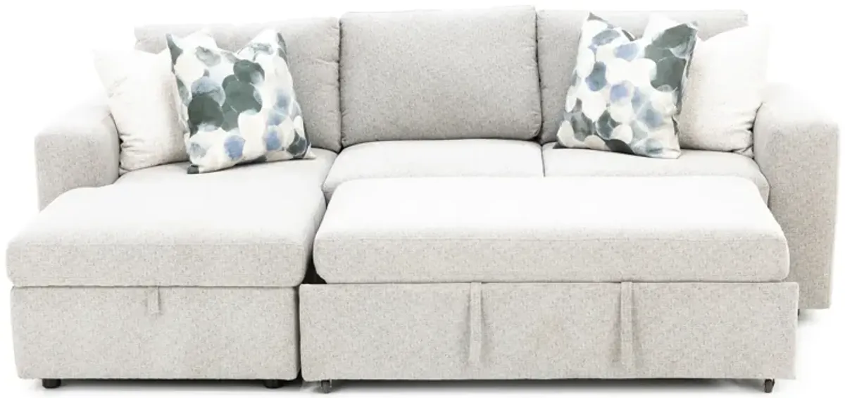 Daphne 2-Pc. Sectional With Sleeper