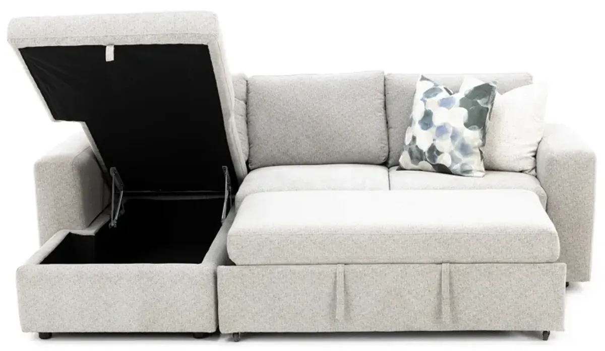 Daphne 2-Pc. Sectional With Sleeper