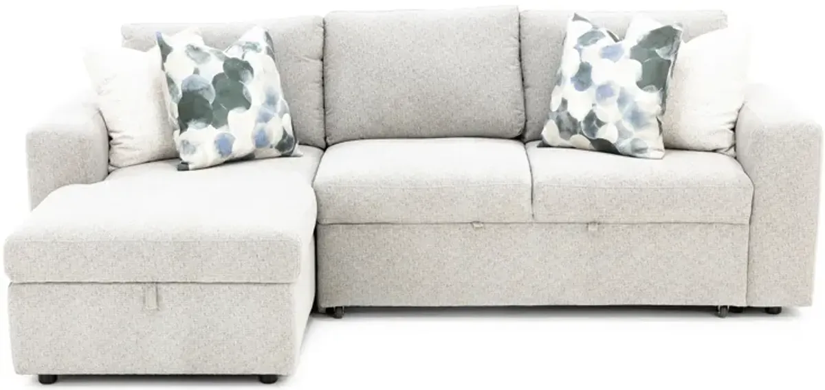 Daphne 2-Pc. Sectional With Sleeper