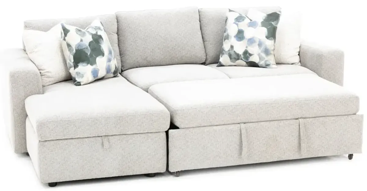 Daphne 2-Pc. Sectional With Sleeper