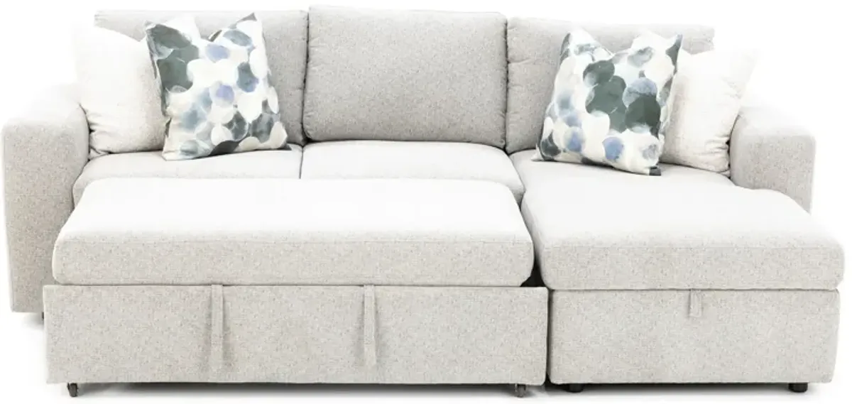 Daphne 2-Pc. Sectional With Sleeper