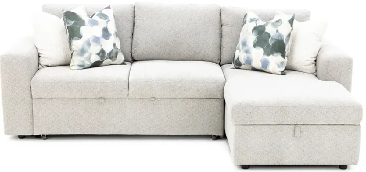 Daphne 2-Pc. Sectional With Sleeper