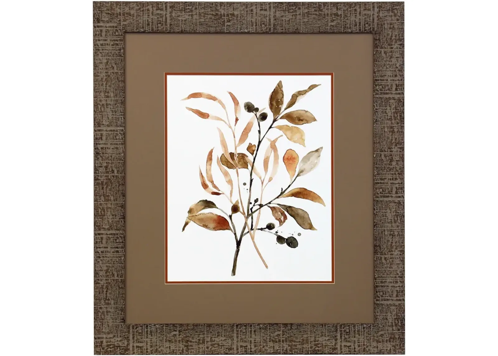 Brown Botanicals I Framed Print 29.5"W x 33.5"H