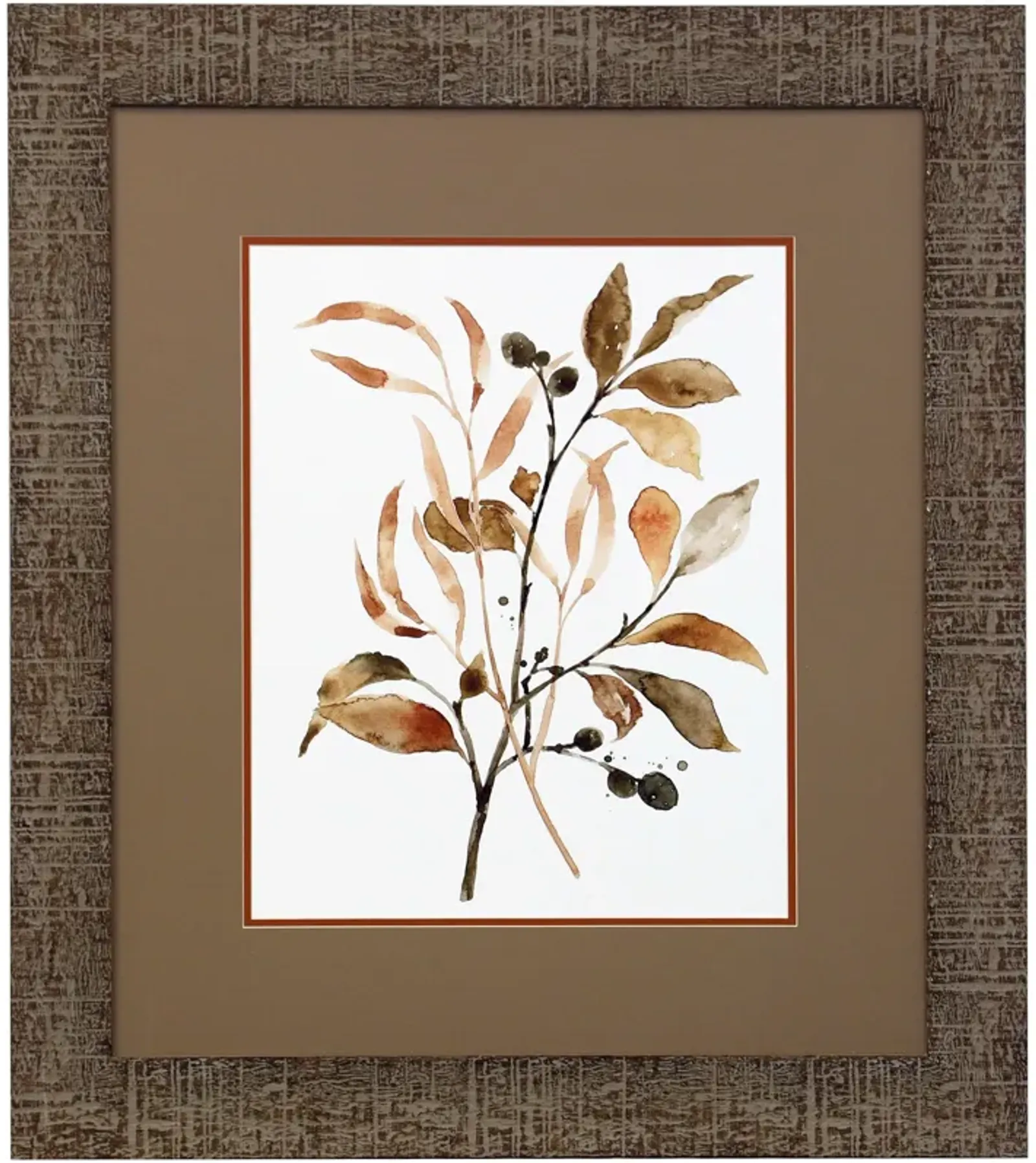 Brown Botanicals I Framed Print 29.5"W x 33.5"H