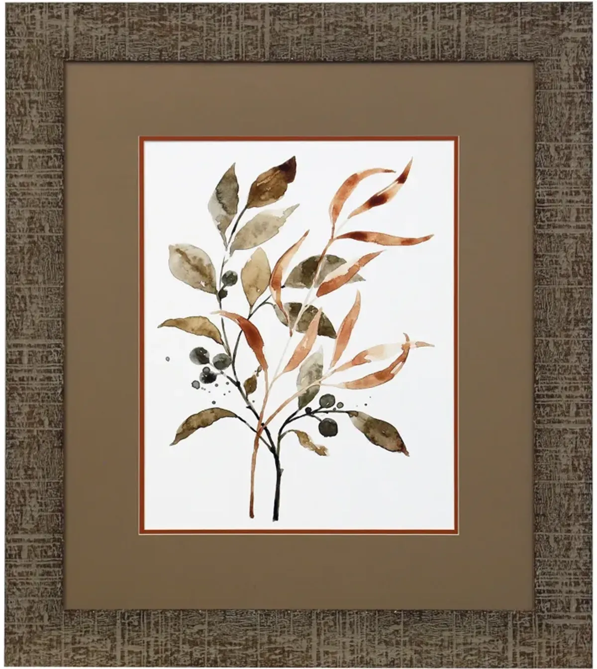 Brown Botanicals II Framed Print 29.5"W x 33.5"H
