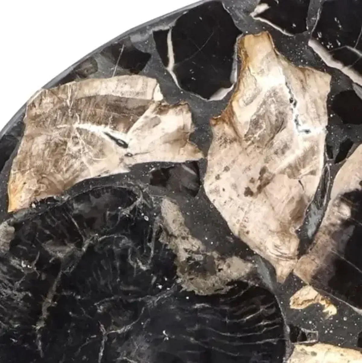 Black and Cream Sculpture with Stand 12"W x 16"H