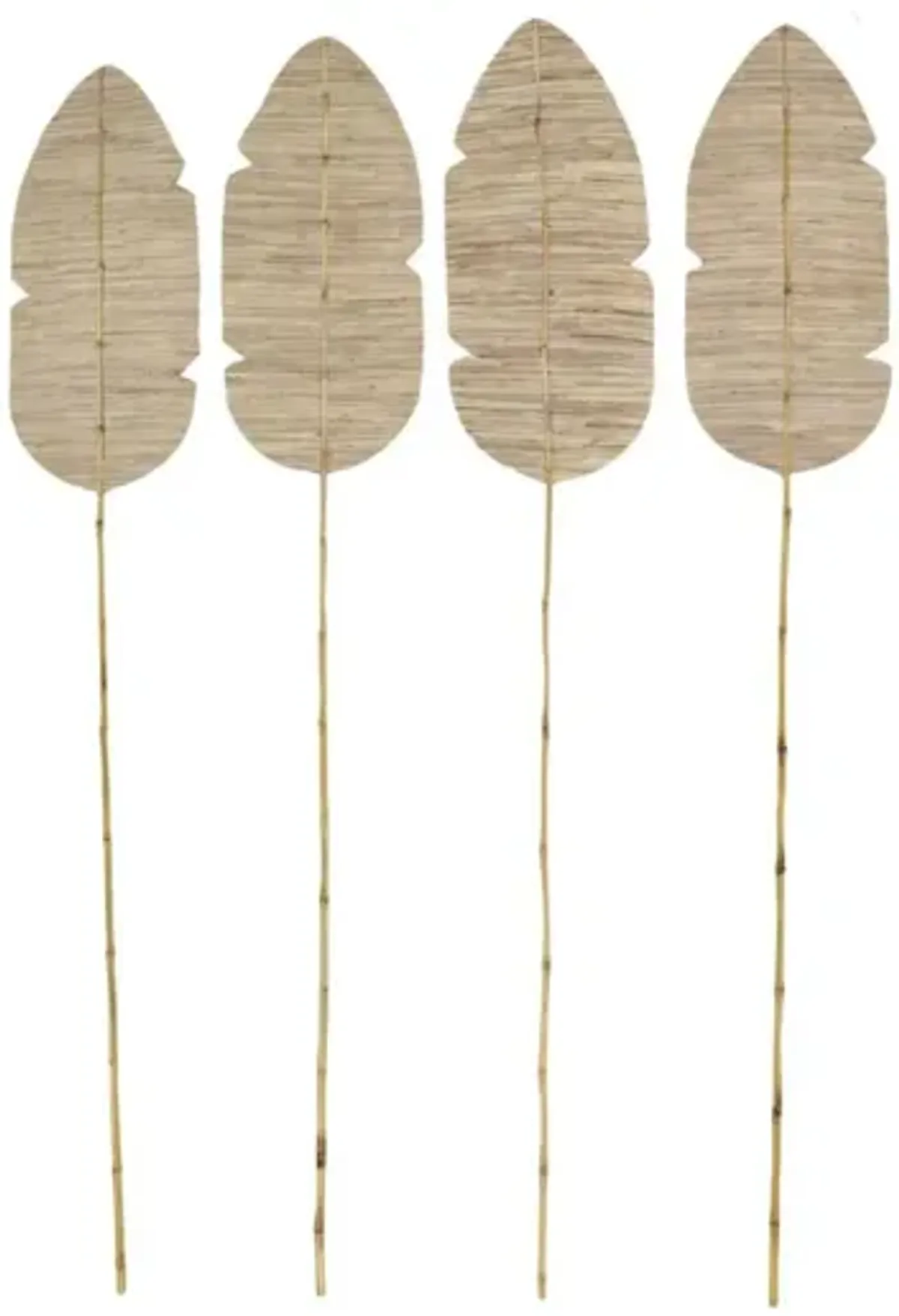 Set of 4 Natural Bamboo Leaves 13"W x 79"H