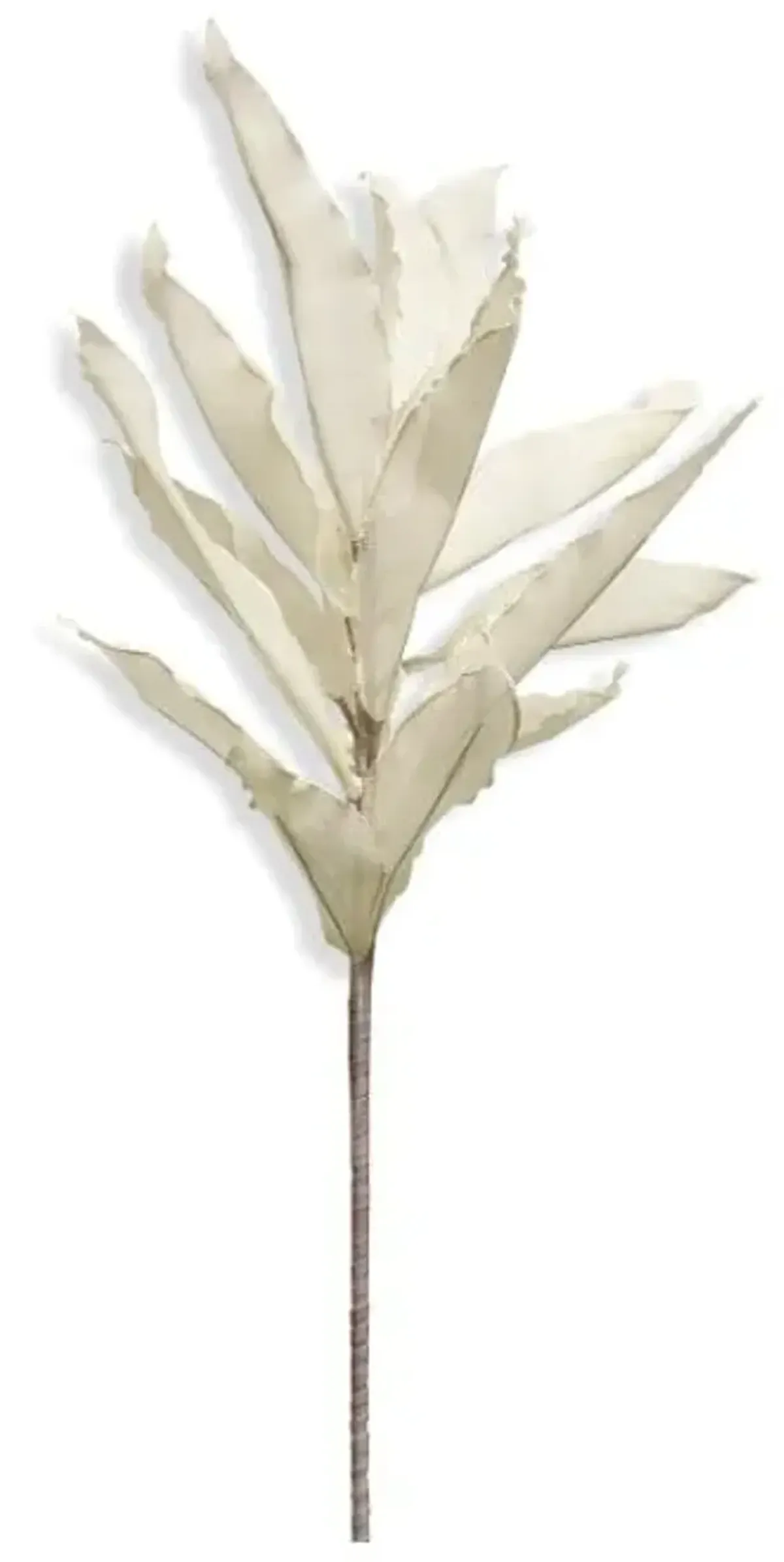 White Foam Ruscus Stem 48"H