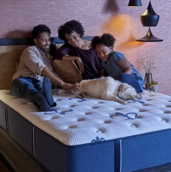 Stearns & Foster Studio Medium King Mattress