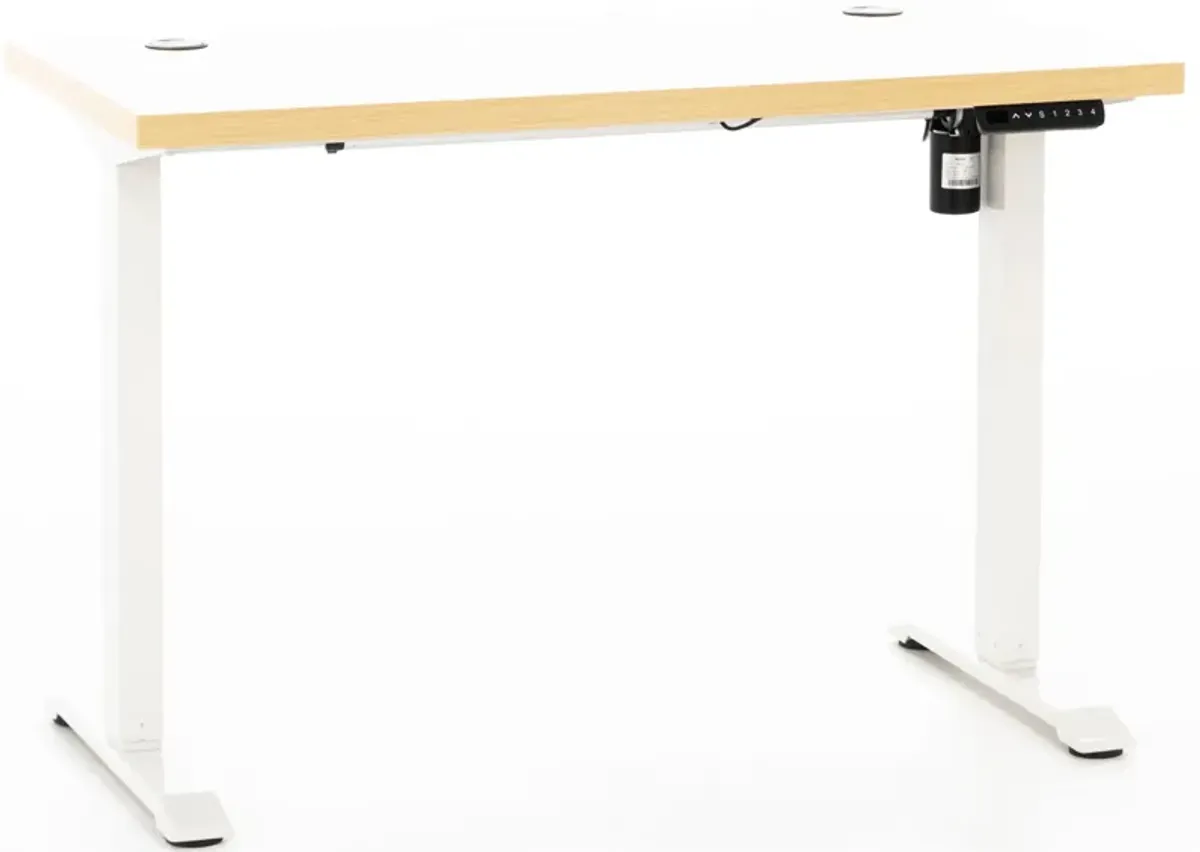 Rise Natural & White Sit Stand Desk 