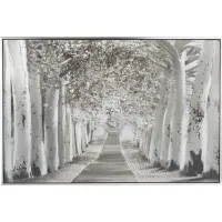 Birch Pathway II Framed Canvas Art 71"W x 48"H