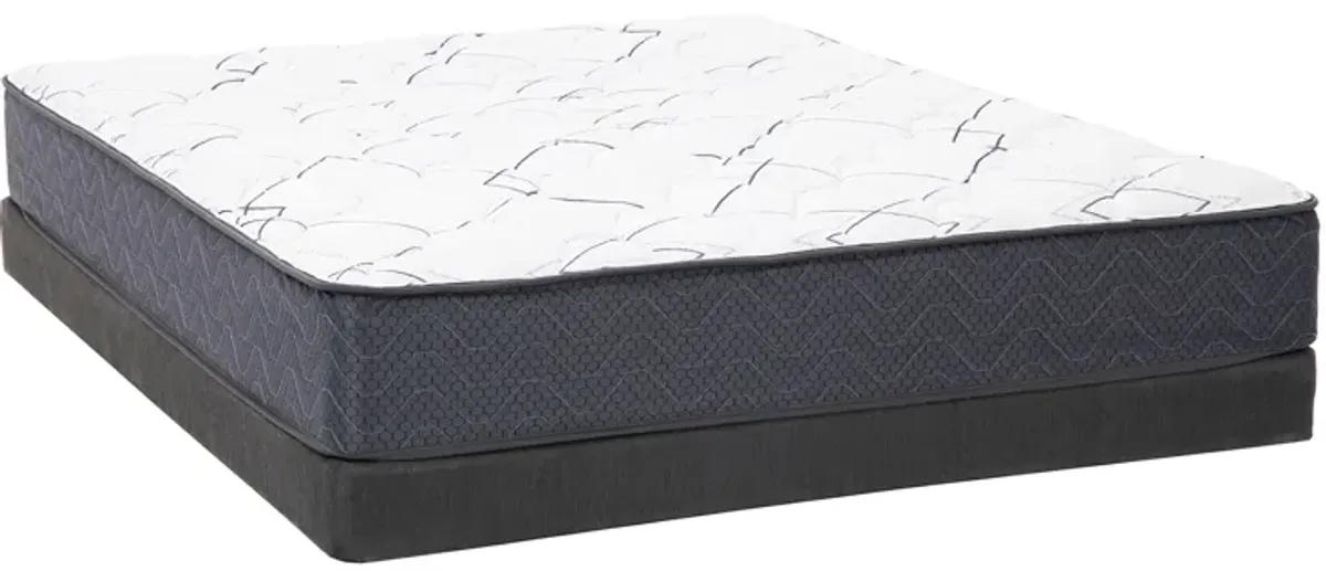 Dreams Buckley Firm Queen Mattress