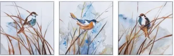 Set of 3 Birds Canvas Paintings 20"W x 20"H