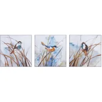 Set of 3 Birds Canvas Paintings 20"W x 20"H
