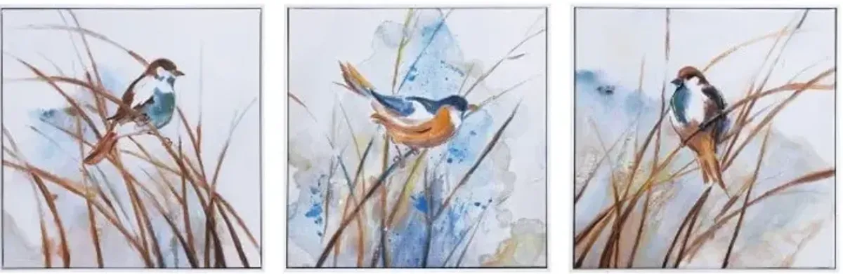 Set of 3 Birds Canvas Paintings 20"W x 20"H