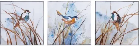 Set of 3 Birds Canvas Paintings 20"W x 20"H