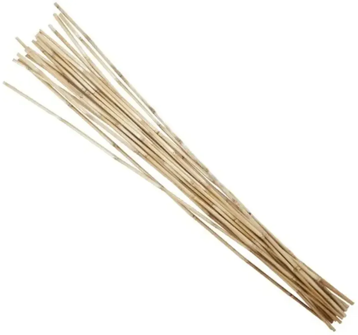 Natural Bamboo Sticks Bundle 7"W x 41"H