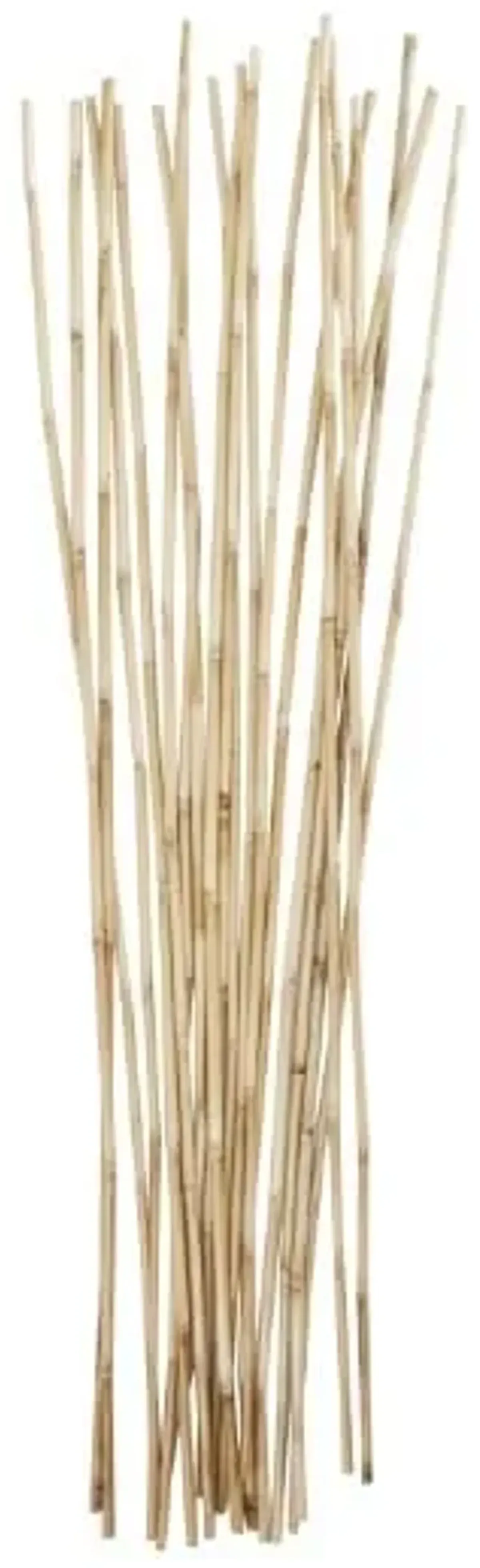 Natural Bamboo Sticks Bundle 7"W x 41"H