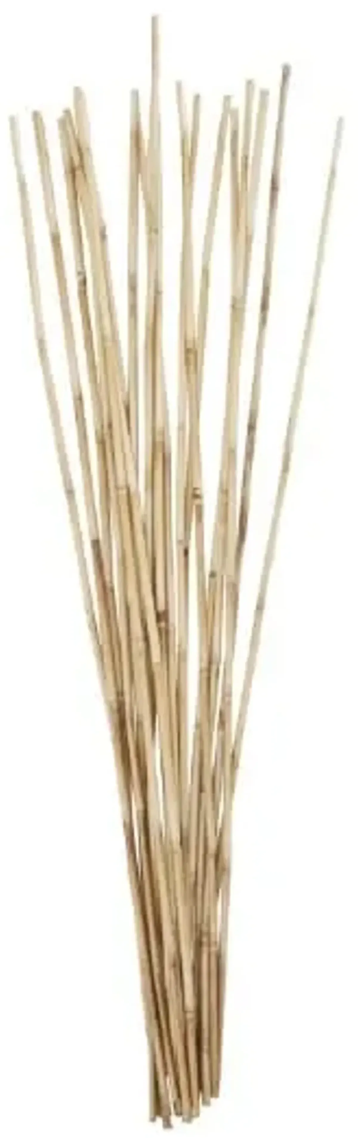 Natural Bamboo Sticks Bundle 7"W x 41"H