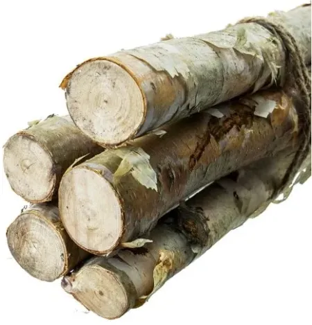 Birch Wood Bundle 48"H