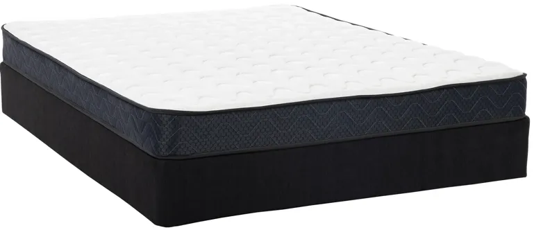 Dreams Miller Firm Assorted Queen Mattress