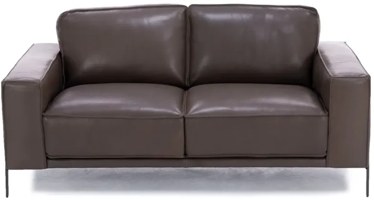 Gianna Leather Loveseat