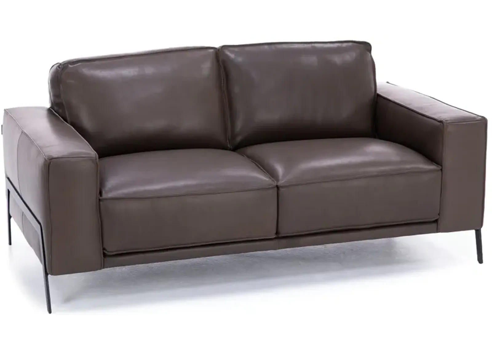 Gianna Leather Loveseat