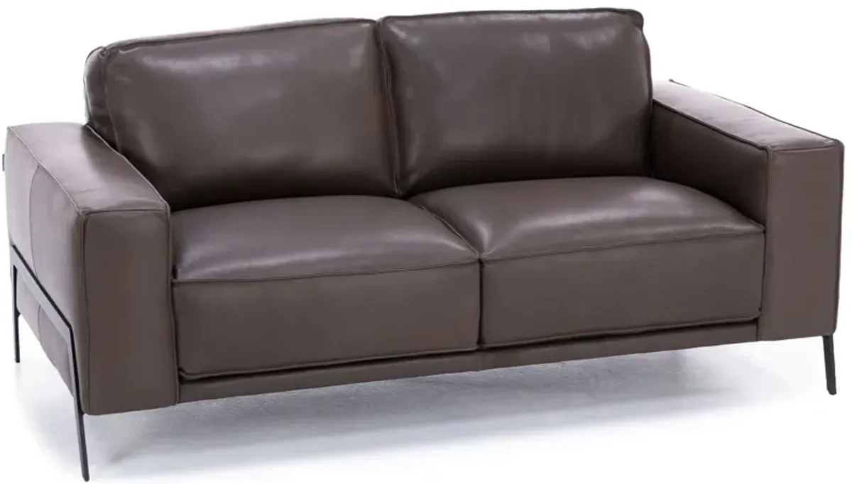 Gianna Leather Loveseat