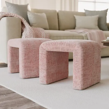 Shay Set of Two Bench in Pink