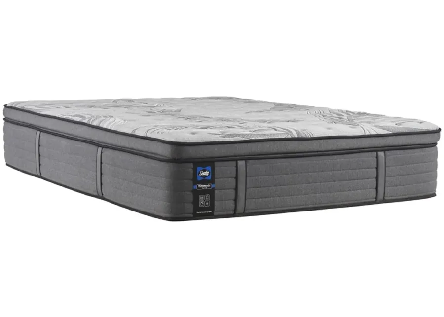 PP Plus Determination II EPT King Mattress