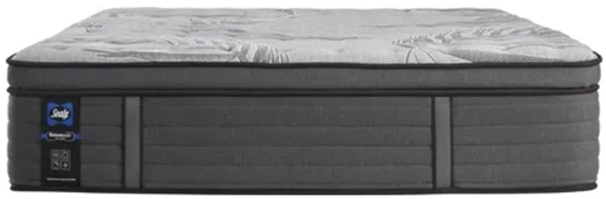 PP Plus Determination II EPT Full Mattress