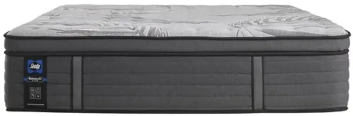 PP Plus Determination II EPT Twin Mattress