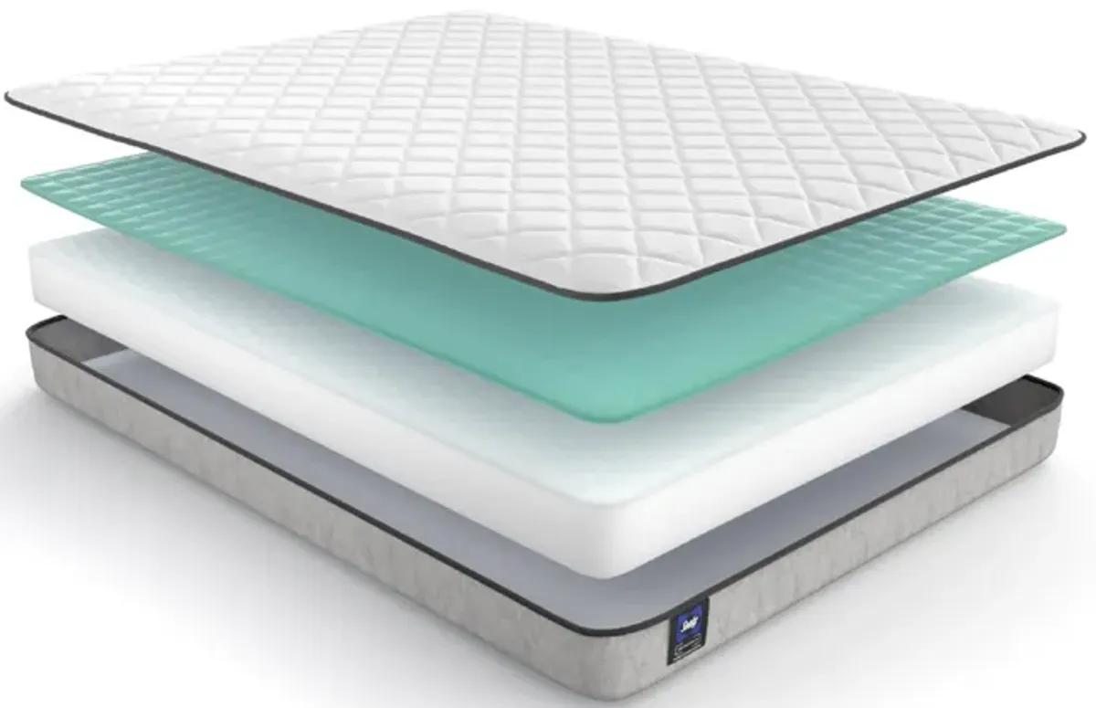 Sealy Essentials Amaro ll Firm Twin Mattress