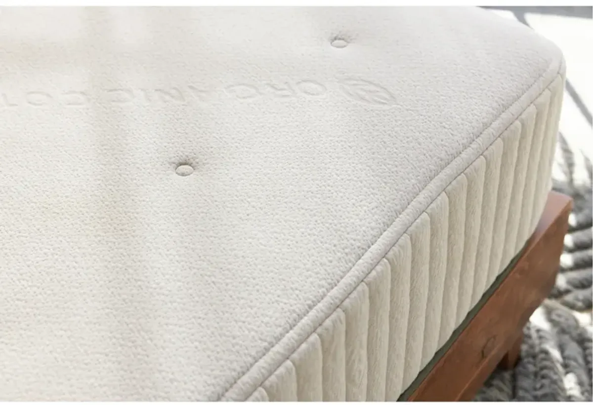 Eco Organic Hybrid Medium Firm California King Mattress