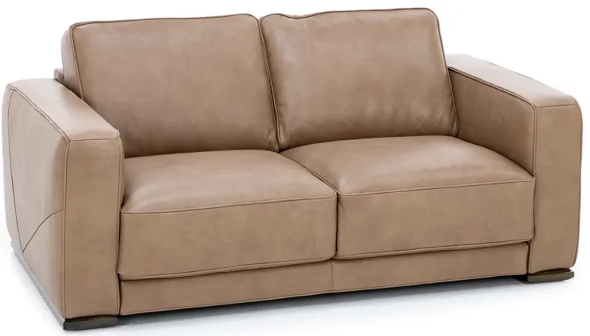 Bianca Leather Loveseat in Brown