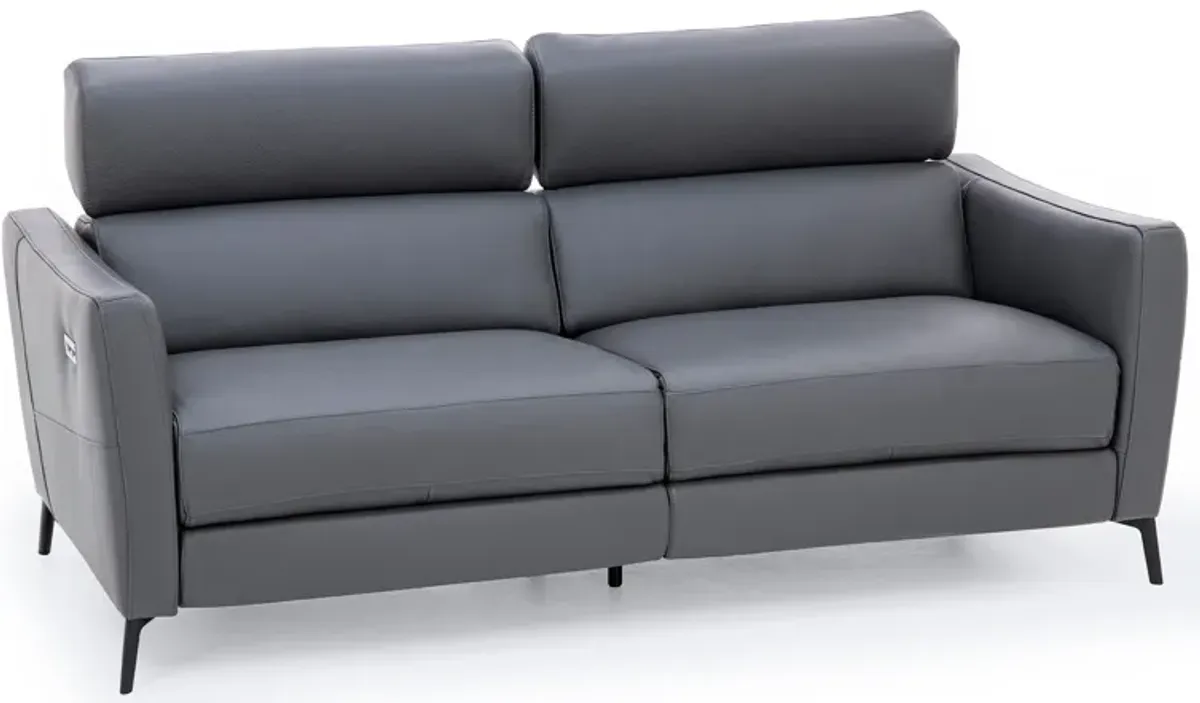 Gabriel Leather Power Headrest Reclining Sofa in Carbon