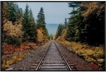 Autumn Railroad Track Framed Tempered Glass Art 48"W x 32"H