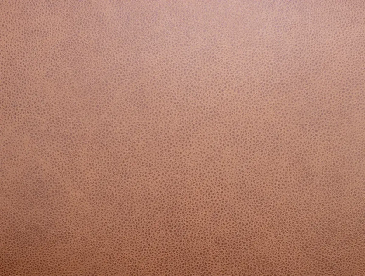 Paloma Leather Chair in Caramel