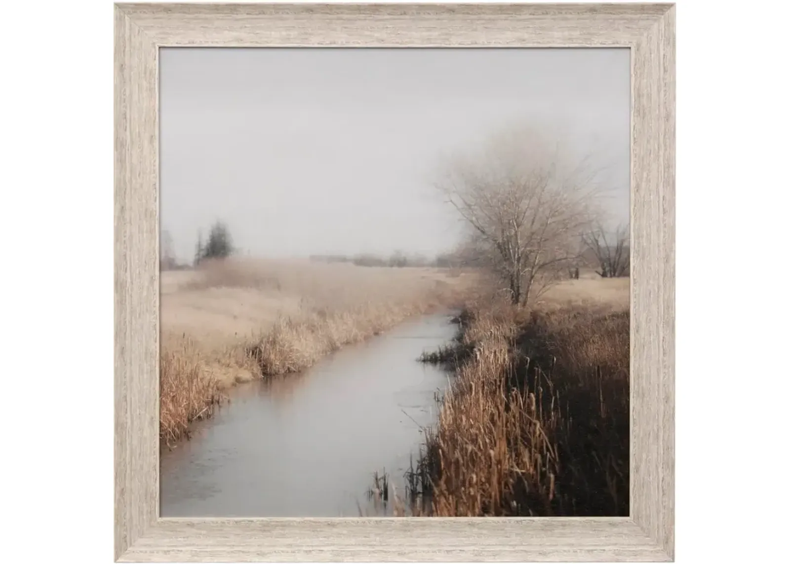 Cattail Creek Framed Print 42"W x 42"H