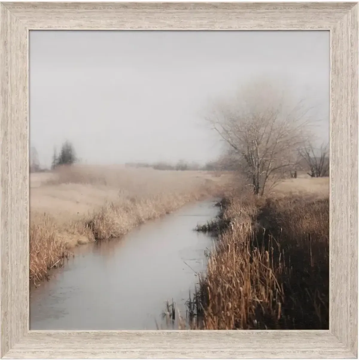 Cattail Creek Framed Print 42"W x 42"H