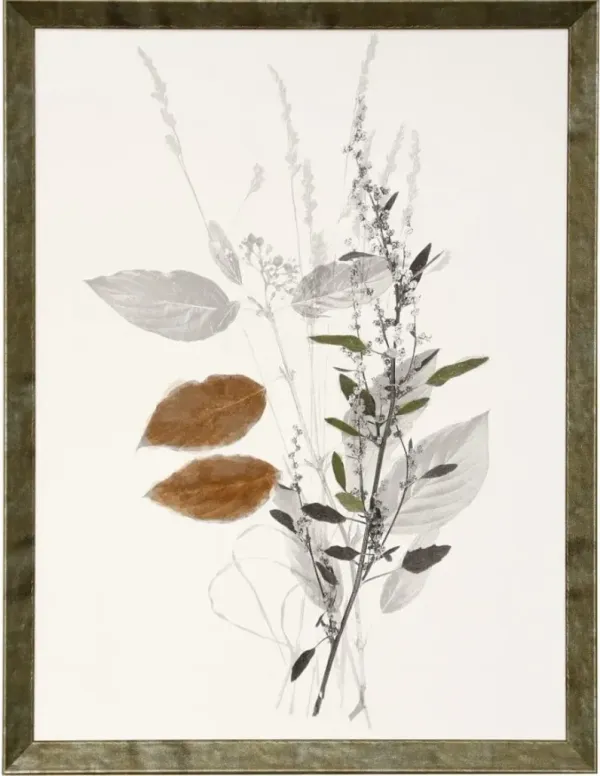 Brown, Green, and Grey Foliage III Framed Print 20"W x 26"H