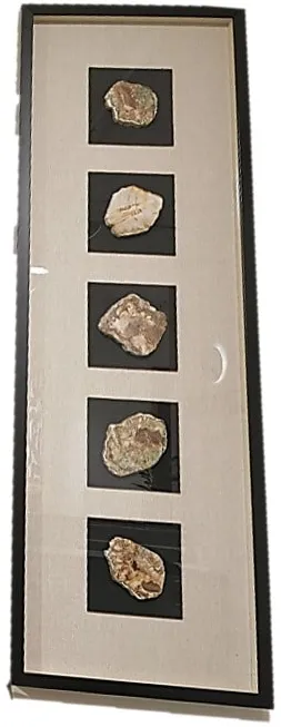 Petrified Stone Framed Shadow Box 16"W x 48"H