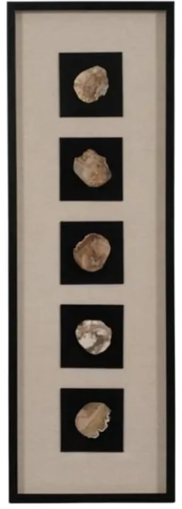 Petrified Stone Framed Shadow Box 16"W x 48"H