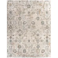 Brunswick Taupe/Olive/Teal Area Rug 12'W x 15'L