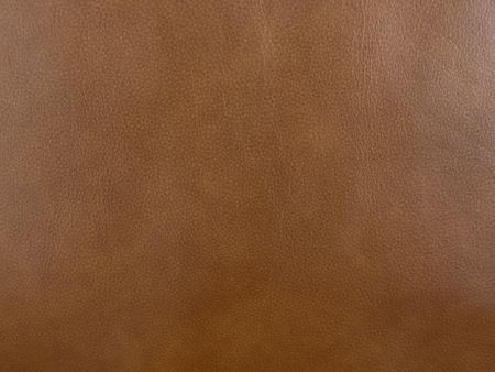 Filly Leather Chair in Camel