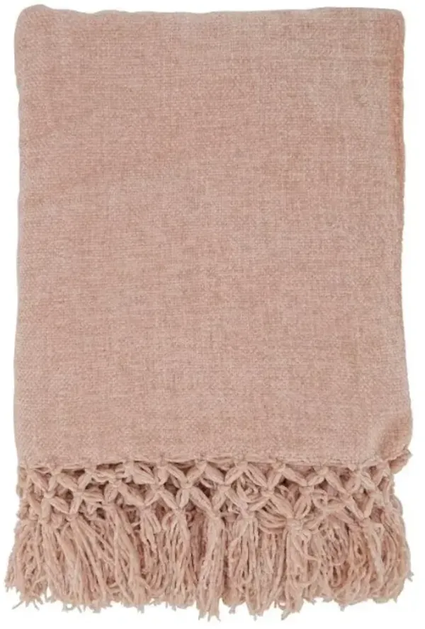Blush Knotted Chenille Throw 50"W x 60"L