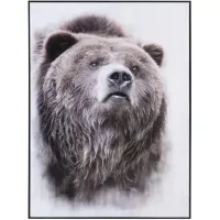 Grizzly Bear Framed Canvas 30"W x 40"H