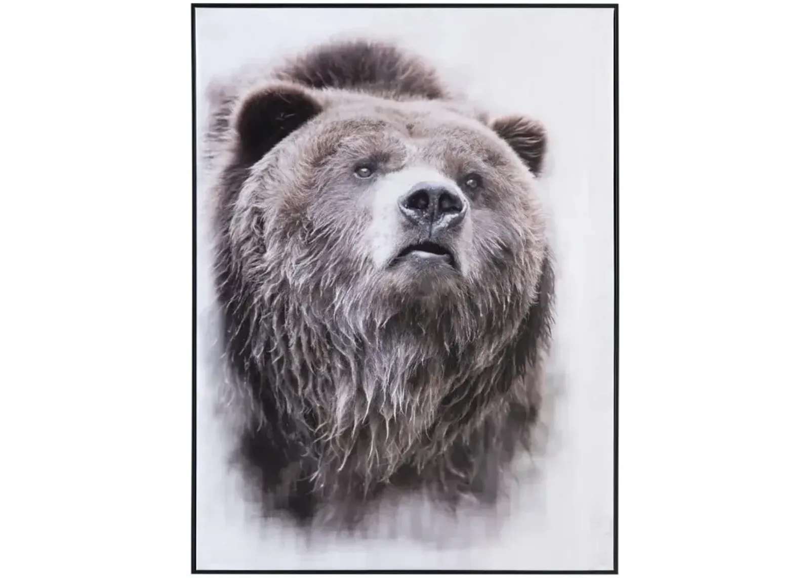 Grizzly Bear Framed Canvas 30"W x 40"H